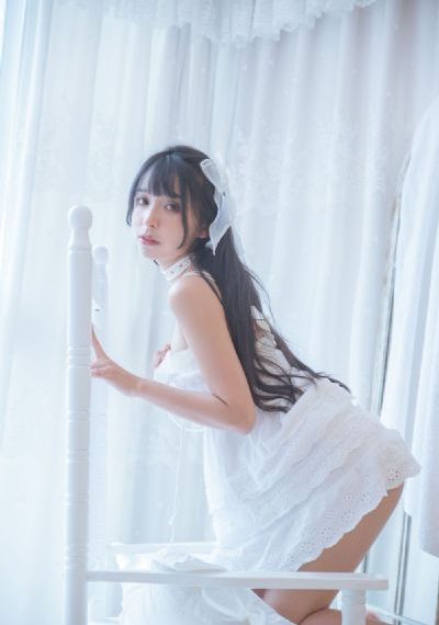 神犬小七第二季免费观看完整版_1080在线观看电视